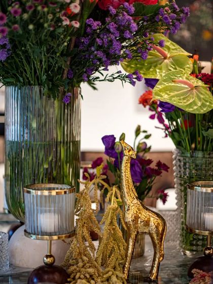 A Symphony of Color photo 28