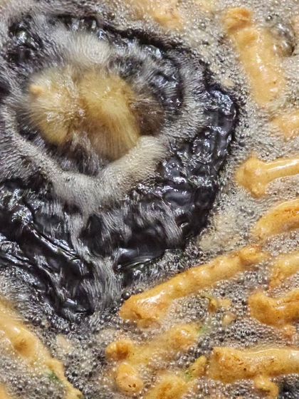 A Taste of Our Vegetarian Cuisine photo 40