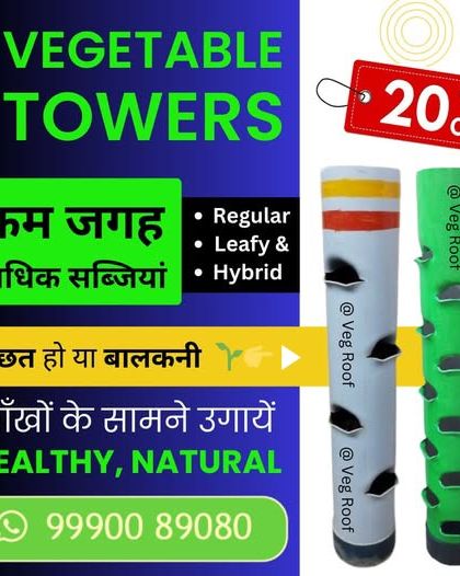 Our vegetable towers are designed for less space and more vegetables. Whether you have a terrace or a small balcony, you can grow healthy, natural food for your family right before your eyes.