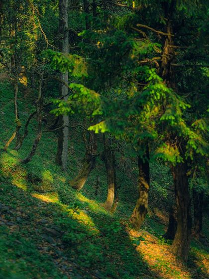 Garima Bhaskar - Photo & Video Editing Presets Aqua: Moody Blues & Greens for Travel photo 44