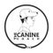 The Canine Coach
