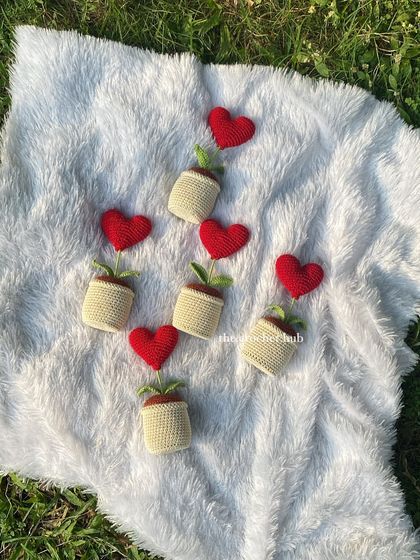 Bulk Orders for Events photo 13