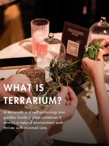A terrarium is a self-sustaining mini garden in a glass container. My workshops and DIY kits give you a hands-on experience to connect with the earth and create one for yourself.