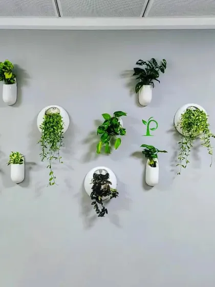 A collection of modern ceramic wall planters adds a touch of green artistry to this office wall. I used a mix of trailing and compact plants to create a visually interesting and low-maintenance display.