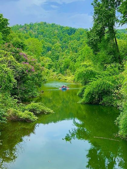 A single raft surrounded by the immense greenery of the Shivpura Backwaters, highlighting the feeling of being immersed in nature.