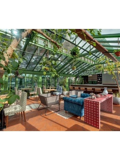 Another view of the conservatory, showing how the space integrates with nature. A tree grows through the room, enhancing the connection to the outdoors and complementing the curated furniture and decor.