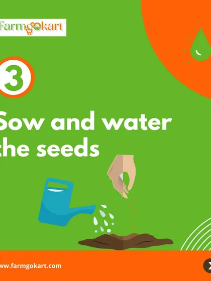 After selecting your seeds, the next step is to sow and water them. This simple graphic reminds you of the basic actions needed to start your gardening journey.