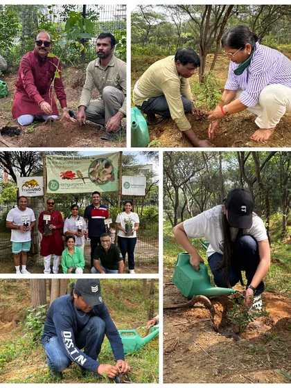 A collage showing the enthusiastic team from TradeUNO Fabrics during their planting drive. They planted 1000 native saplings, including the hardy Khari Jaal, to give life back to the Aravali Forest.
