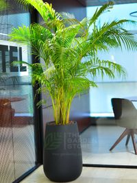 Garden Center & Retail