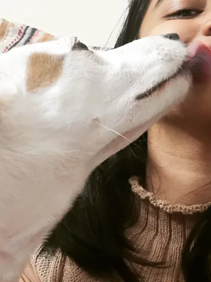 Getting selfies with a puppy is a lesson in patience and a whole lot of kisses. Working with puppies is about embracing their playful energy while gently guiding them on how to interact appropriately.