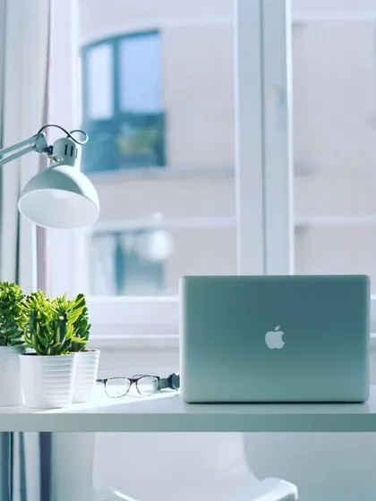 Even a few small succulents can make a big difference on your work desk. These low-maintenance plants add a touch of nature to your workspace without taking up too much room.