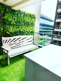 Rooftop, Terrace & Balcony Gardens