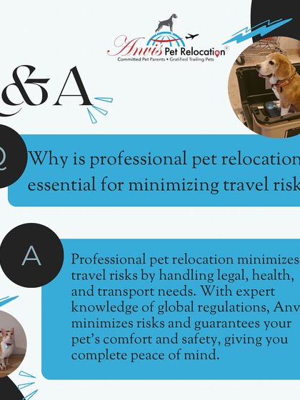 Anvis - Pet Relocation Our Relocation Process: Step-by-Step photo 7