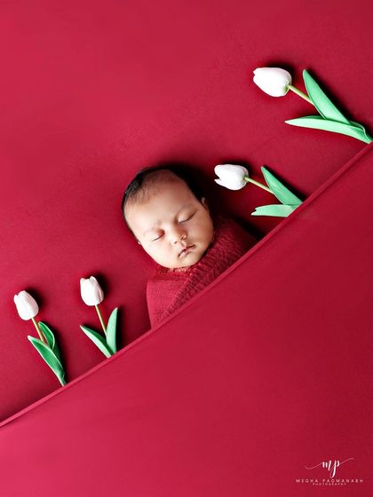 A baby tucked under a red blanket, surrounded by white tulips. The composition is simple and striking.