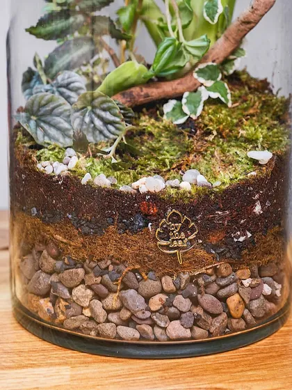 A look at the base of the large terrarium, showing the different layers of pebbles, soil, and my logo. These layers are crucial for the health of the self-sustaining ecosystem.