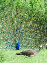 Guided Tours & Photography Workshops