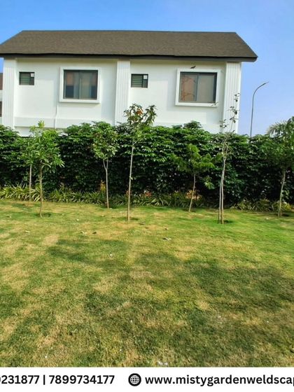 A wide view of a villa landscape, showing a healthy lawn and a line of young trees planted in front of a mature hedge. This layered approach creates depth and privacy.
