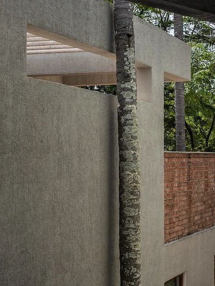 A moment where nature and architecture meet at Anahaspa, with a tree trunk rising alongside the textured concrete wall.