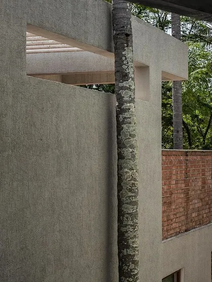 A moment where nature and architecture meet at Anahaspa, with a tree trunk rising alongside the textured concrete wall.