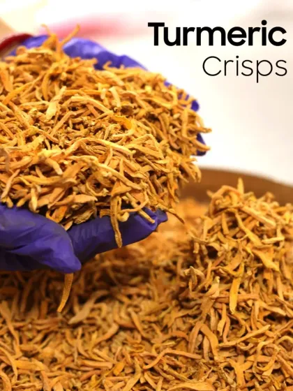 Here is a handful of my handmade Turmeric Crisps. I use young turmeric found only in winter, which is less fibrous and results in a cleaner, crispier texture packed with flavour and health benefits.