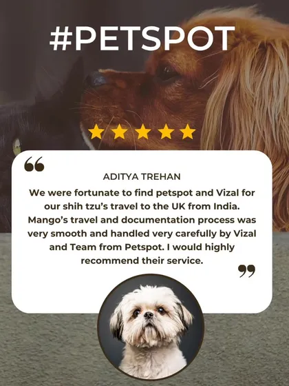 Aditya Trehan was grateful for the smooth and carefully handled documentation process for his Shih Tzu, Mango's, travel to the UK. I pride myself on meticulous paperwork.