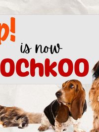 Pet Adoption & Rehoming