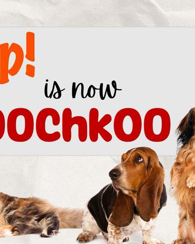 Pet Adoption & Rehoming