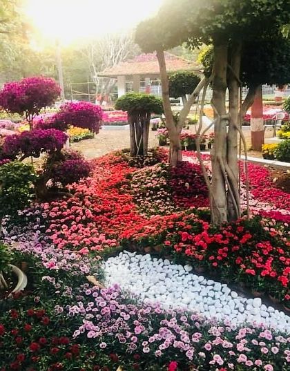 Ratnashri Landscapers - Landscape Design & Build A World of Plants & Flowers photo 18