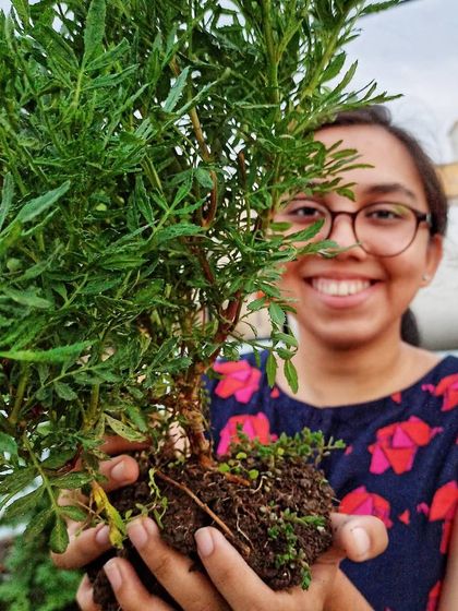 My Gardening Journey photo 4