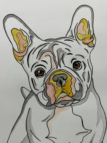 A close-up of the watercolor French Bulldog, showing the simple lines and pops of color used to create a modern pet portrait.