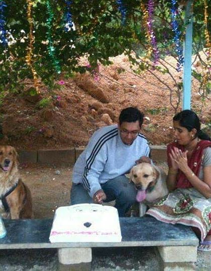 Petspace - Dog Boarding Our Pack Through the Years photo 29