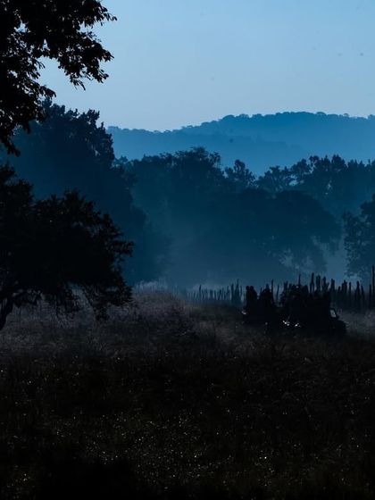 The same Kanha landscape, but in the blue hour just before sunrise. The cool, blue tones and the lingering mist create a completely different mood, one of quiet anticipation.