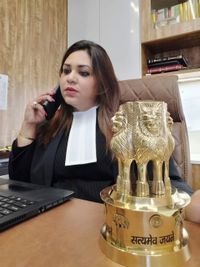 Family & Criminal Law Services