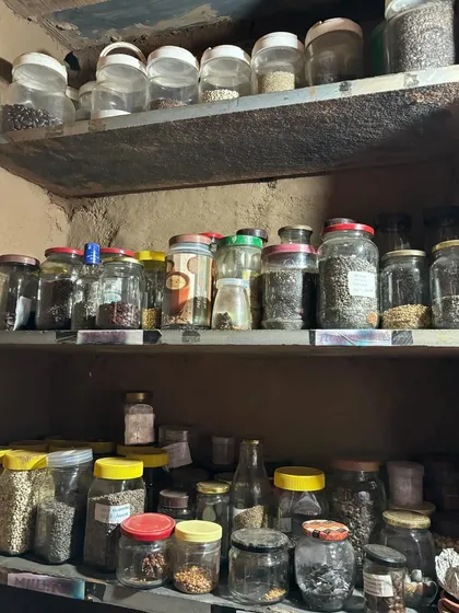 This is my personal seed bank. I collect and store seeds from various plants in these recycled jars, which is a core practice of permaculture. It allows me to be self-reliant and share a wide variety of plants with the community.