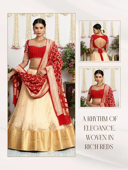 This graphic highlights the key details of our red and gold bridal lehenga, from the intricate blouse embroidery to the elegant back design.