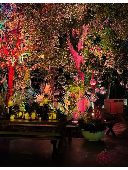 The full effect of the multi-colored lighting on the trees, with disco balls catching the light. This shows how I can completely transform a familiar space into something extraordinary.