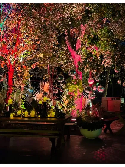 The full effect of the multi-colored lighting on the trees, with disco balls catching the light. This shows how I can completely transform a familiar space into something extraordinary.