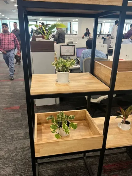 We find opportunities for greenery in every corner. Small, low-maintenance plants placed on open shelving units bring life to storage areas and add to the overall green aesthetic of the office.