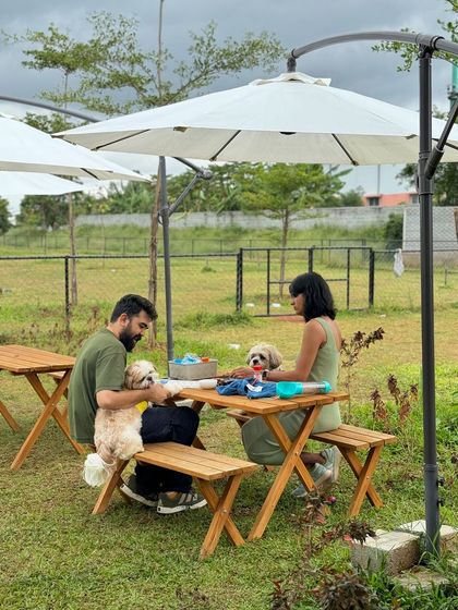 The Pawsome Camp - Dog Park & Pool Relax & Recharge: The Think Pawsitive Cafe photo 6