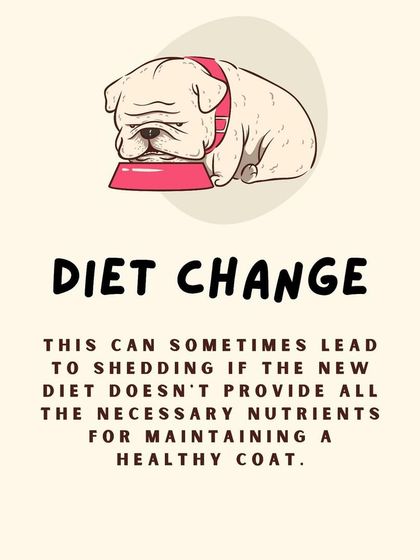 Furever Safe - Pet Boarding & Day Care Pet Parent Resources photo 20