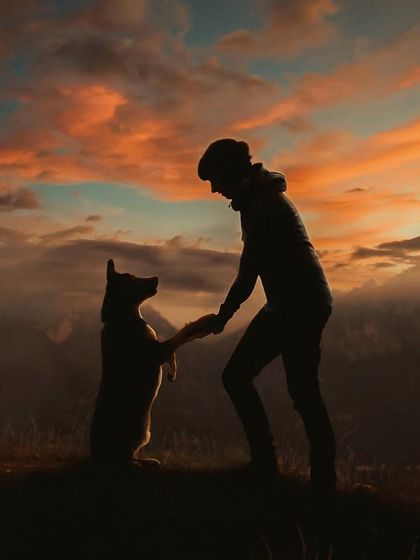 Rohit - Family & Pet Photography Outdoor Adventures photo 11