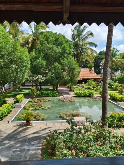 The winter sun streams through the trees, offering warmth and a beautiful view of our campus and lotus pond. It's a perfect balance of cool air and gentle sunshine.