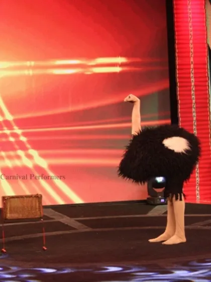 Who needs wings when you've got style? Our hilarious Ostrich act, a one-man puppet performance, is a unique and fabulous show that always steals the spotlight.