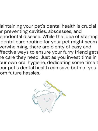 Woofly - Home Veterinary Services Essential Dental Health photo 3