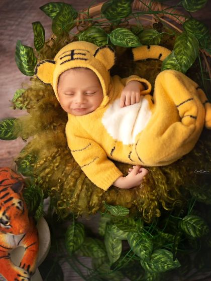 This smiling tiger is ready for the year of the tiger. Themed shoots are a great way to celebrate special occasions or just have fun.