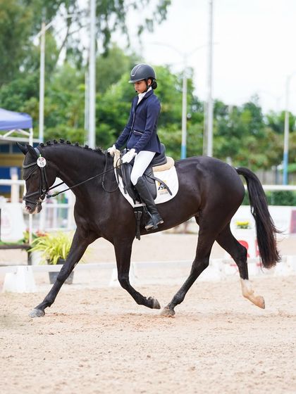 A rider and her stunning black horse demonstrate extended trot during a dressage test at the Surge Show. This movement requires balance, power, and extensive training.