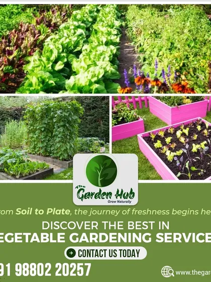 From soil to plate, we help you discover the joy of vegetable gardening. Our services make it easy to grow your own fresh, organic produce, whether in raised beds or pots on your terrace.