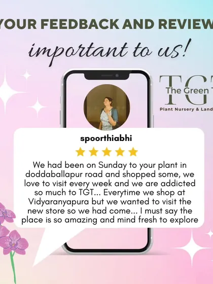 We love hearing from our customers. Thank you, Spoorthiabhi, for this heartwarming review about your visit to our new Doddaballapur Road store.
