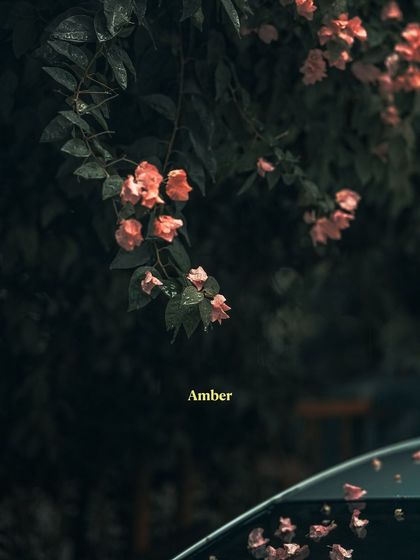 Garima Bhaskar - Photo & Video Editing Presets Amber: Golden Hour & Street Tones photo 56