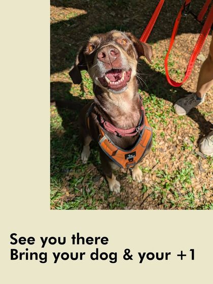 The Pack - Pet-Friendly Adventures & Meetups City Meetups & Doggie Picnics photo 25